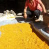 Curcuma organique 200g – Image 2