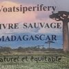 b Poivre Sauvage Voatsiperifery Madagascar – Image 4